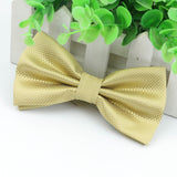 Hot Selling Plaid Bowties Groom Mens Solid Fashion Cravat for Men Butterfly Gravata Male Marriage Wedding Party Bow Ties BT-001