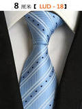 Men's 100% Silk Ties